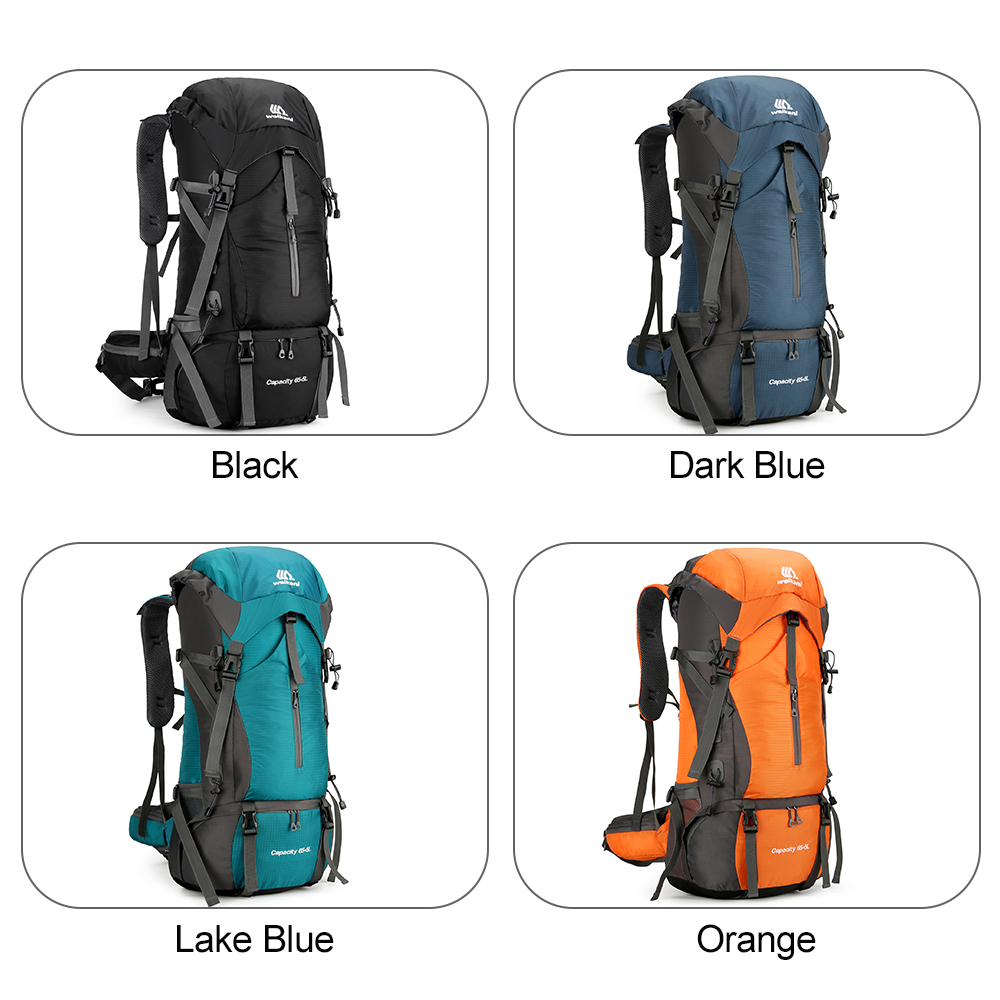 70L Travel Backpack Hiking Bac - Rain Cover Backpack のレビューと価格