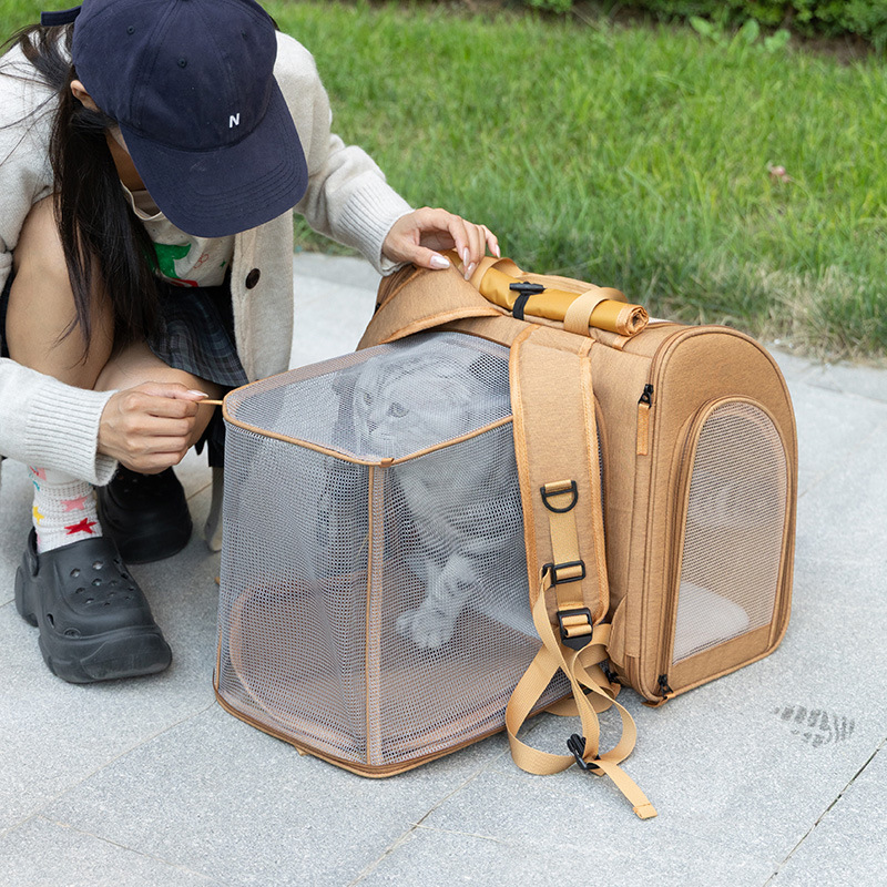 Portable cat bag, expandable l - Foldable Backpack Small のレビューと価格